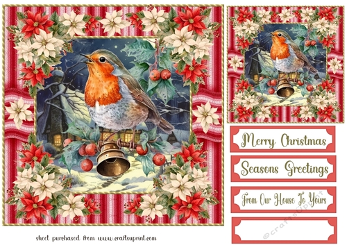 Poinsettia Christmas robin card front 2