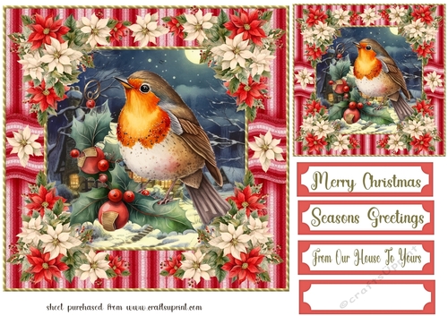 Poinsettia Christmas robin card front 3