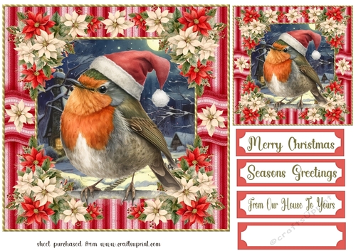 Poinsettia Christmas robin card front 4
