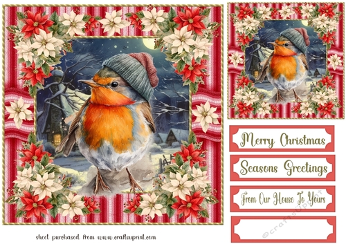 Poinsettia Christmas robin card front 5