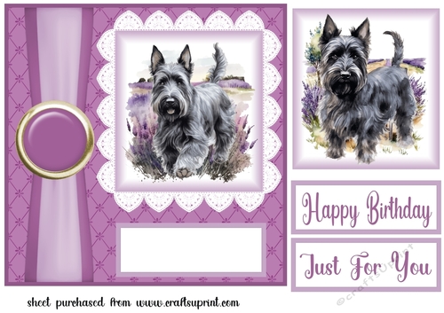 Lavender Scottish terrier card front 1