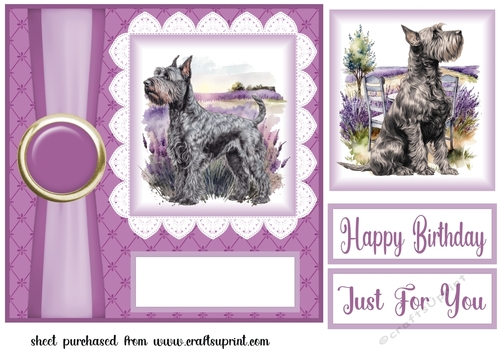 Lavender Scottish terrier card front 3