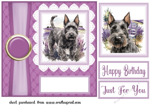 Lavender Scottish terrier card front 5