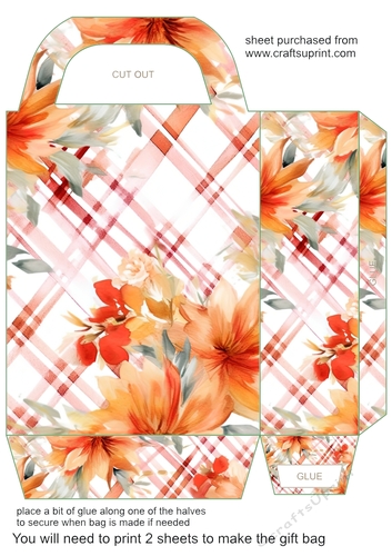 Floral gingham gift bag 2