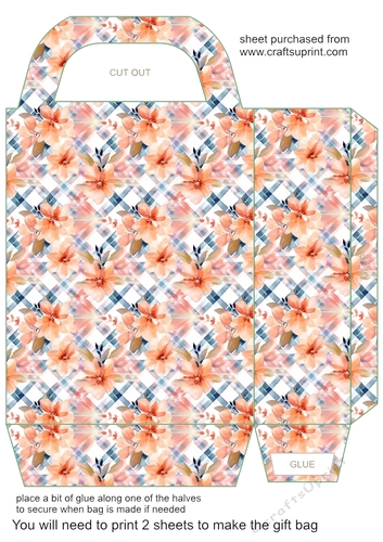 Floral gingham gift bag 3