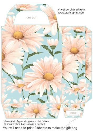 Pastel daisies gift bag 4