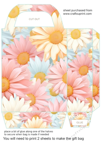 Pastel daisies gift bag 6