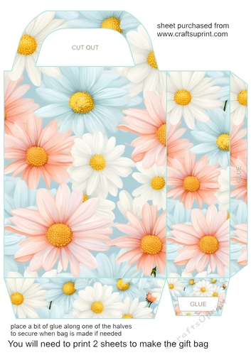 Pastel daisies gift bag 9