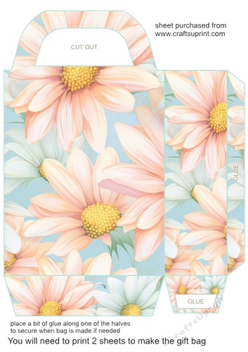 Pastel daisies gift bag 11