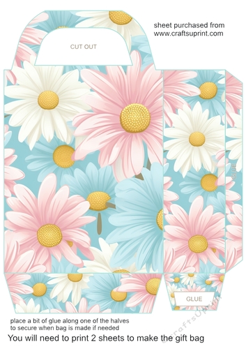 Pastel daisies gift bag 12