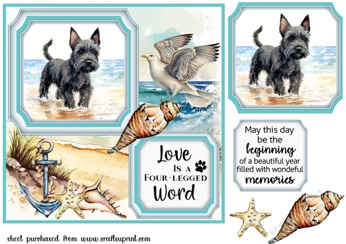 Scottish terrier on the beach card front (new) 1