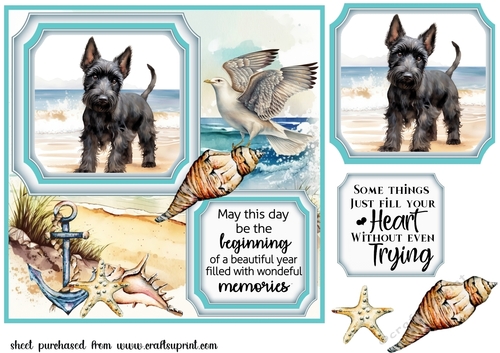 Scottish terrier on the beach card front (new) 2