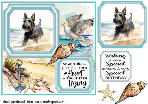 Scottish terrier on the beach card front (new) 3