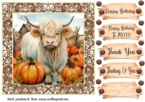 Autumn highland cow card front 2