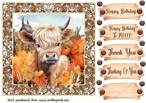 Autumn highland cow card front 4