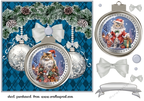 Christmas bauble cat card front 2