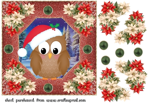 Poinsettia owl card front 