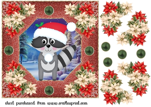 Poinsettia racoon card front 1