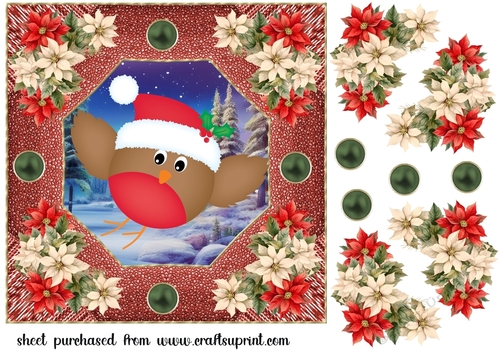 Poinsettia robin card front 