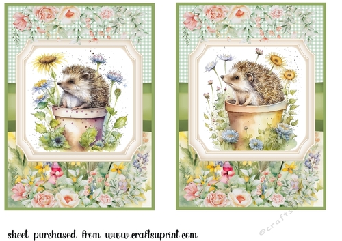 2 Framed floral hedgehog card fronts 2