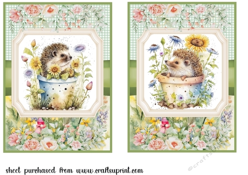 2 Framed floral hedgehog card fronts 3
