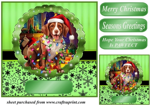 Christmas dog in hat card front 3