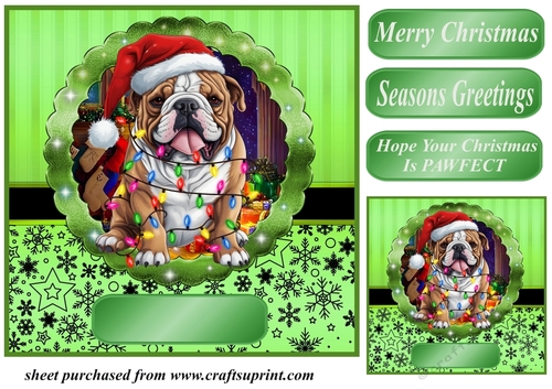 Christmas dog in hat card front 4