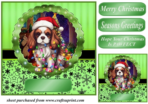 Christmas dog in hat card front 6