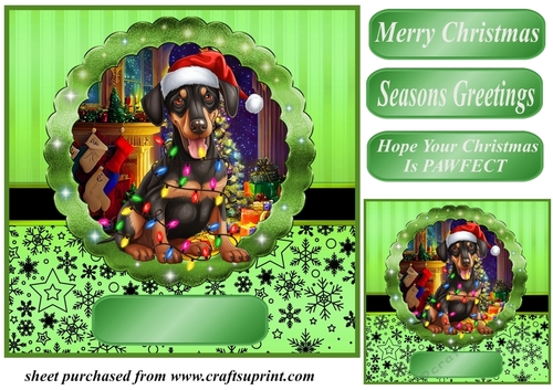 Christmas dog in hat card front 7