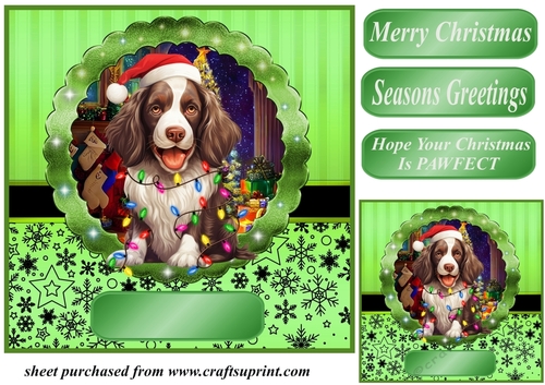 Christmas dog in hat card front 8