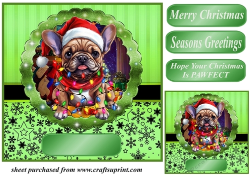 Christmas dog in hat card front 9