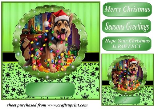 Christmas dog in hat card front 10