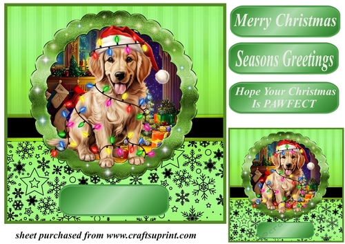 Christmas dog in hat card front 11