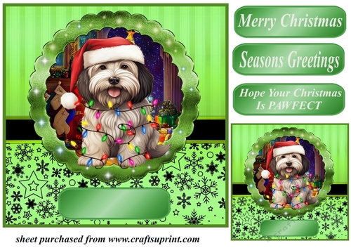 Christmas dog in hat card front 12