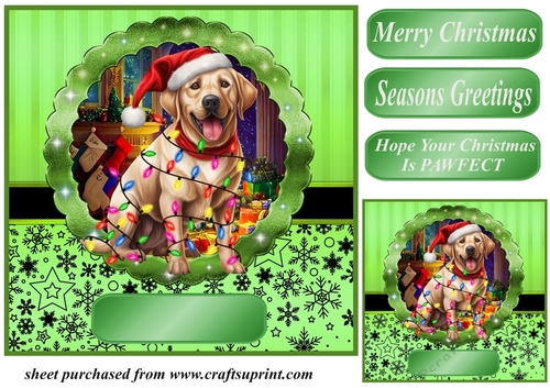 Christmas dog in hat card front 13