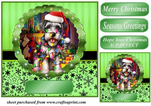 Christmas dog in hat card front 14