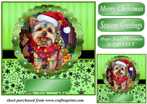 Christmas dog in hat card front 16