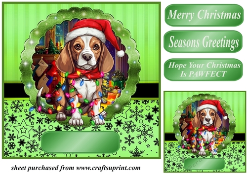 Christmas dog in hat card front 17