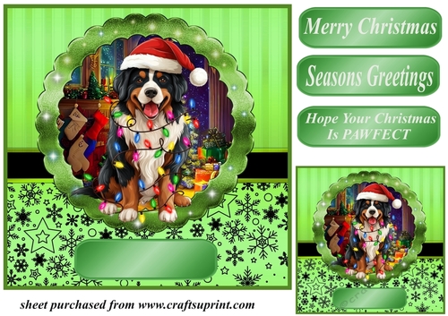 Christmas dog in hat card front 18