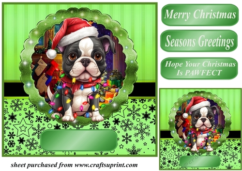 Christmas dog in hat card front 19
