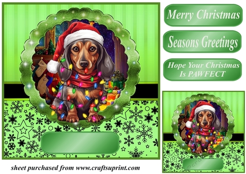 Christmas dog in hat card front 20