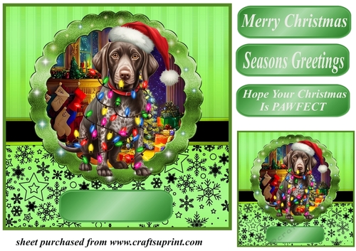 Christmas dog in hat card front 21