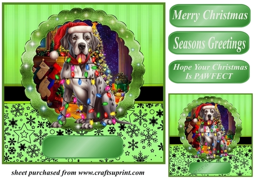 Christmas dog in hat card front 22