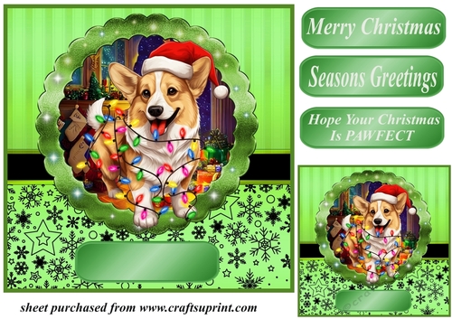 Christmas dog in hat card front 23