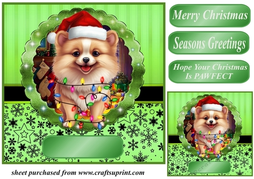 Christmas dog in hat card front 24