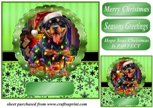 Christmas dog in hat card front 25