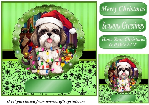 Christmas dog in hat card front 26