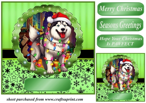 Christmas dog in hat card front 27