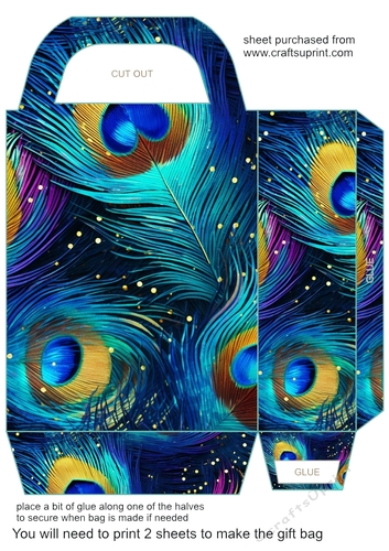 Peacock feather gift bag (n) 1