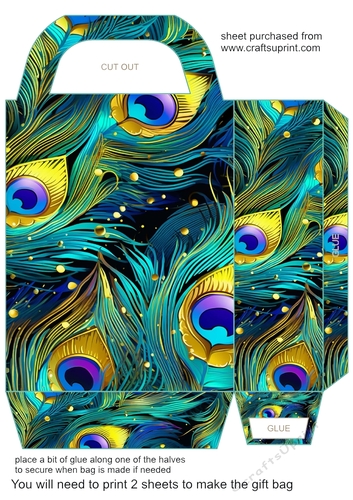 Peacock feather gift bag (n) 2